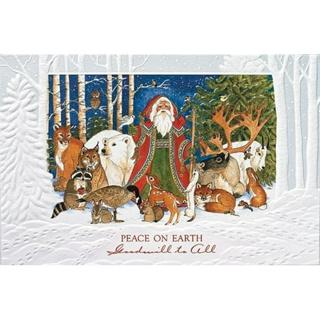 - Pack of 16
