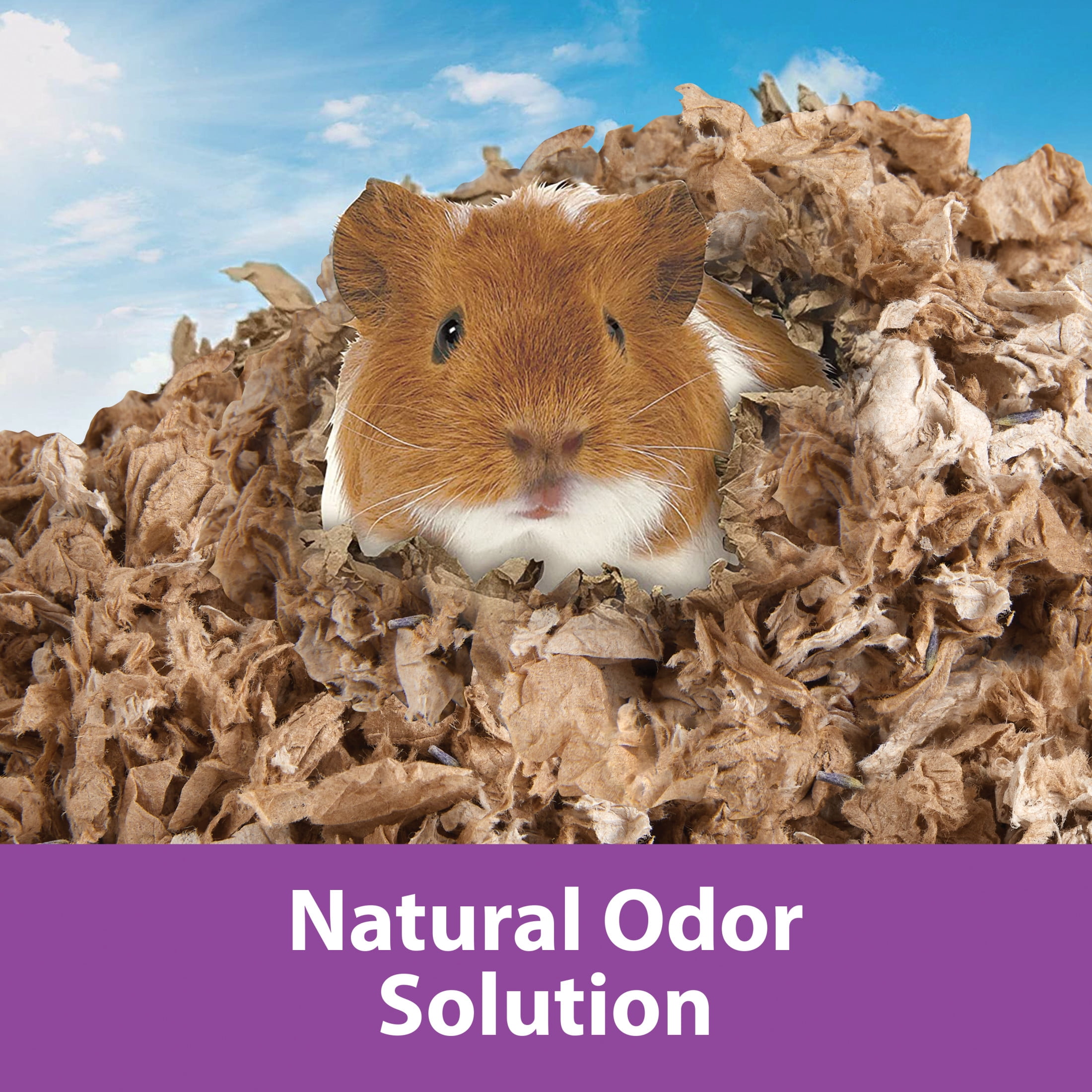 (3 pack) Kaytee Clean & Cozy Natural Bedding with Lavender for Rabbits, Hamsters & More, 49.2L