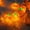 A, variant on Halloween Pumpkin String Lights, Jack O Lantern Pumpkin 3D LED Lights Warm White Battery Powered Decor for Thanksgiving Party Indoor Outdoor Home Decoration