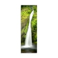 thumbnail image 2 of Gango Home Decor Horsetail Falls by Douglas Taylor (Printed on Paper); One 12x36in Fine Art Paper Giclee Print, 2 of 4