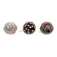 thumbnail image 4 of Kurt Adler 2.36-Inch Noble Gems™ Glass Chocolate Strawberry Ornaments, 6-Piece Box, 4 of 4