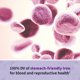 thumbnail image 4 of Multivitamínico prenatal Garden of Life Vitamin Code Raw 90 cápsulas, 4 of 7