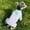 D, variant on Summer Dog Cooling Shirt Ice Silk Four-Legged Dog Cat Vest Breathable UV Protection Pet Sport Outfit Pet Apparel with D-Ring for Small Medium Hot Weather Walks XS