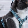 thumbnail image 3 of Juego de arnés y correa para gatos, ajustable a prueba de escapes para caminar al aire libre con hebilla de seguridad, luna y estrella, 3 of 8