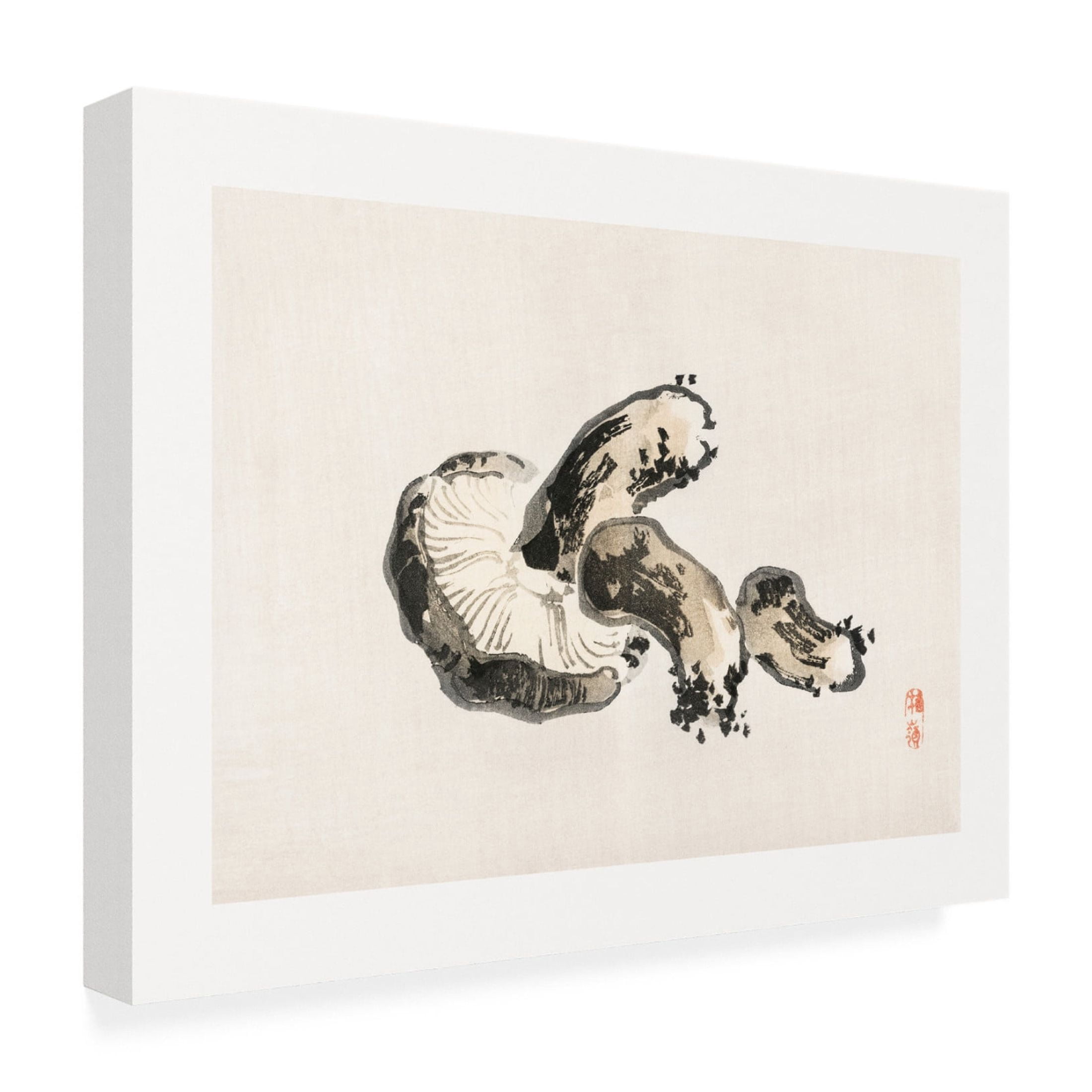 Trademark Fine Art Pictufy Shitake Mushroom Canvas Wall Art