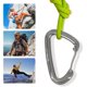 thumbnail image 4 of Carabinador Servicio Pesado 25kn Capeta Alambre Cargado Resorte (gris), 4 of 9