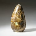 thumbnail image 1 of Genuine Fancy Jasper Freeform From Madagascar (3 lbs), 1 of 3