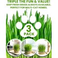 thumbnail image 5 of Cat Grass Kit for Indoor Cats, 3 Pack Fast Growing Cat Grass Kit with Eco-Friendly Biodegradable Pots, Soil & Wheatgrass Seeds, Grows in 3-7 Days with High Germination Rate, 5 of 7