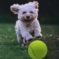 thumbnail image 4 of Herding Ball for Dogs, , 9.5 inch Oversize Giant Tennis Ball Dog Tennis Ball Large Pet Chew Toy for Outdoor/Indoor Sports Dog Ball Gift, Pet Instincts Interact Fetch Balls, 4 of 6