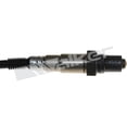 thumbnail image 2 of Walker 250-24768 Walker OE Oxygen Sensor Fits select: 2010-2011 HYUNDAI ELANTRA TOURING, 2010-2011 KIA SOUL, 2 of 4