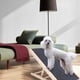 thumbnail image 3 of Yeshouse rampa ajustable de madera de pino para perros, plegable y antideslizante, ideal para camas, sofás, SUV y autos, soporta hasta 45 kg, 3 of 9