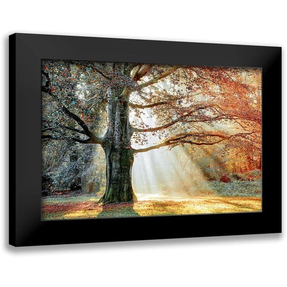 Van de Goor, Lars 14x11 Black Modern Framed Museum Art Print Titled - Basking In The Sun
