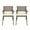 Gray/Cream, variant on Helen Outdoor Teak Finish Acacia Wood Arm Chair (Set of 2)