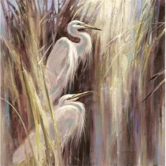 Art In Motion PDX222HEI1082LARGE Seaside Egrets Poster Print by Brent Heighton, 24 x 24 - Large