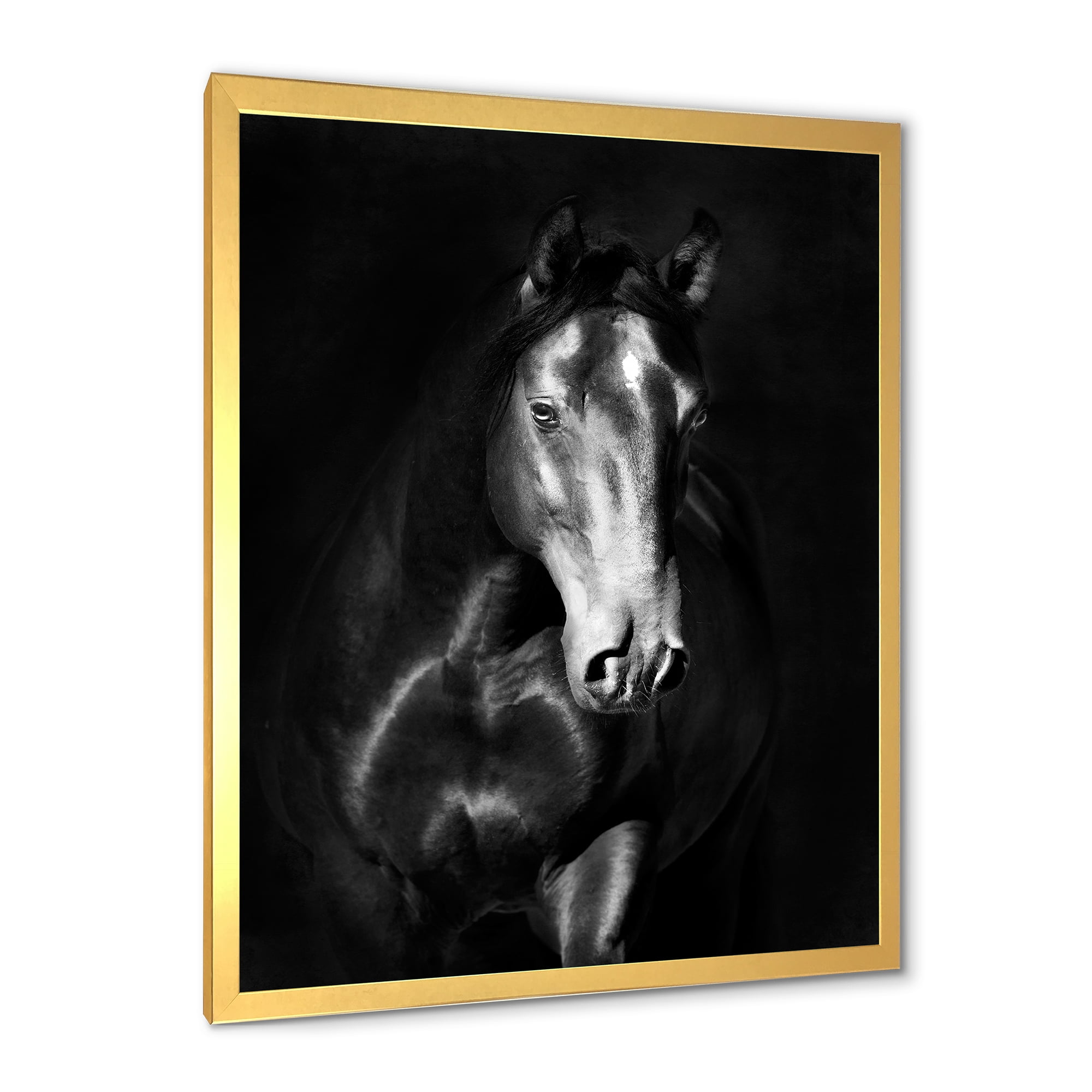 Designart 'Close Up Portrait Of Black Kladruby Horse' Farmhouse Framed Art Print