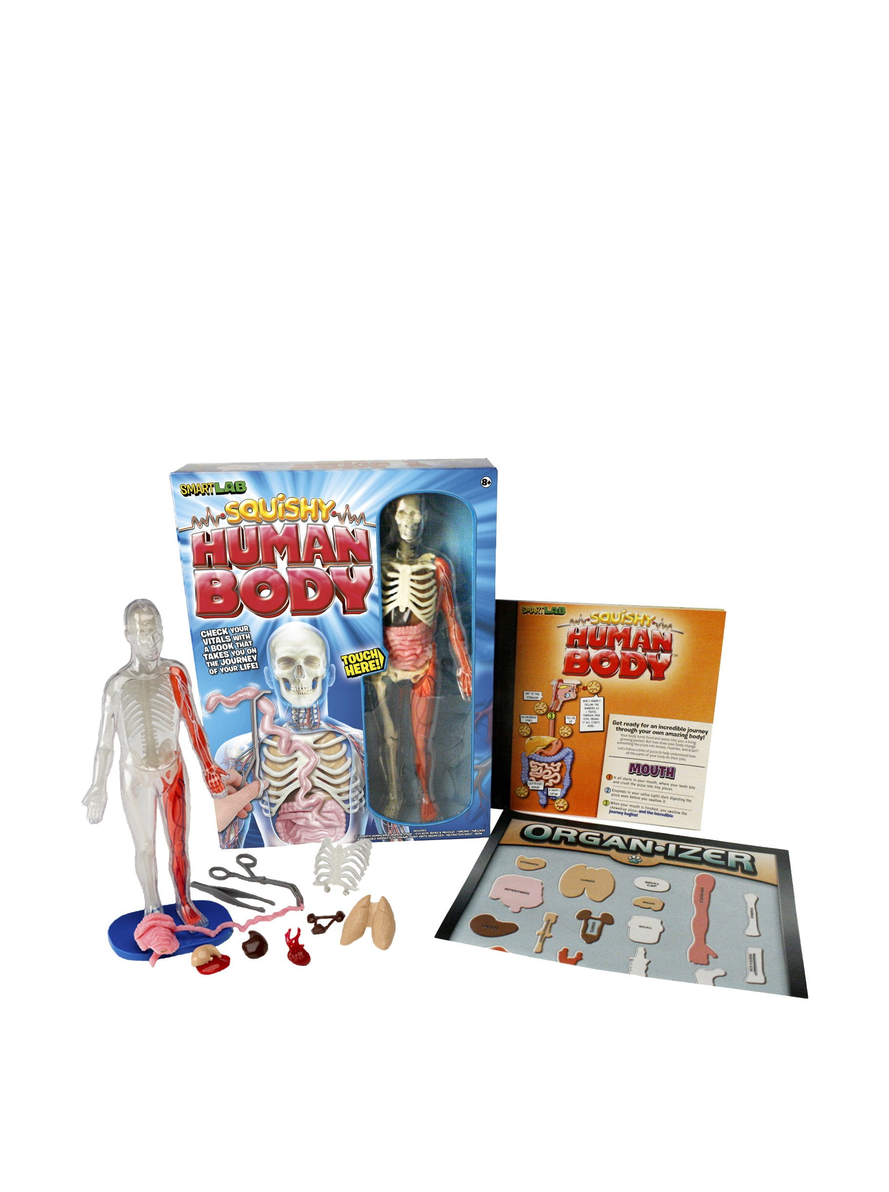 SMART LAB Squishy Human Body 21パーツ おもちゃ Amazon.com: SMARTLAB Toys Squishy Human Body with 21