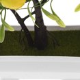 thumbnail image 3 of unbranded Planta Artificial En Maceta Con Falsas Para Centro De Y, 3 of 8