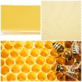 thumbnail image 3 of 30PCS Beekeeping Nest Box Foundation Beeswax Honeycomb Sheets Beekeeper Tools, 3 of 5