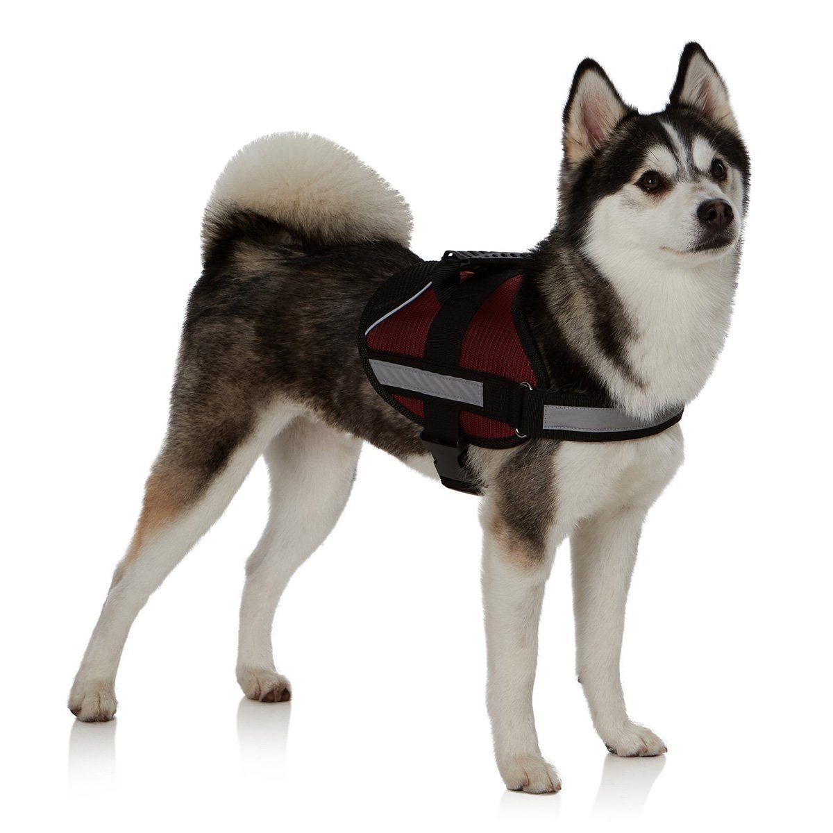 EzPet Vest Collar Soft Adjustable Harness