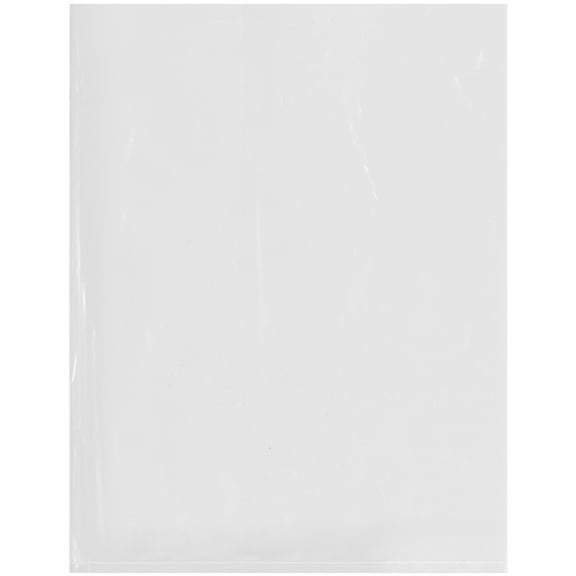 Plymor 10" x 13" (Pack of 100), 2 Mil Flat Open Clear Plastic Poly Bags