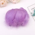 thumbnail image 1 of Kiplyki Wholesale 100pc Colorful Feathers 6-12 Cm In Small Feather DIY Decoration, 1 of 2