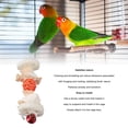 thumbnail image 3 of Chew Toy, Cuttlefish Bone Skewers Bird Toy Fun Calcium   For Parrots For Love Birds For Cockatiels, 3 of 8