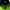 Remix Green, variant on Sony PS5 DualSense Wireless Controller - Icon Blue