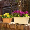thumbnail image 6 of Clearance! Haidf Rectangular Planter, Plastic Long Planter Box with Holes and Tray, Planters for Indoor Outdoor Plants Flowers, Deck Railing Planter Boxes, Flower Pots, Plant Pots, 12.3", White, 6 of 6