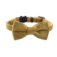 thumbnail image 1 of Cat Soft Velvet With Bow Tie Bell Breakaway Boy Girl Basic Pure Colors Male Female, 1 of 9