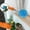 Blue, variant on VQPeo Ceiling Fan Blade Cleaner, Extendable Duster for Walls, Bookshelves, Furniture, Door, Window Top Cleaning