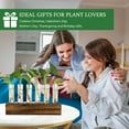 thumbnail image 4 of Plant Propagation Stations Glass Vase Station, Tabletop and Wall Hanging Glass Planter Propagation Vase with 6 Glass Test Tubes for Propagating Hydroponic Plants Home Office Decor, 4 of 11