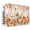 White Pumpkin Orange Turmeric, variant on Bathroom Frog Indoor Air Conditioner Cover, Double Insulated AC Covers for Inside, Toilet Animals Vintage Waterproof Window Air Conditioner Covers with Elastic Straps 17"Lx13"Wx3.5"D
