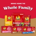 thumbnail image 7 of Sun-Maid® Chocolate Yogurt Covered Raisins 6-Pack/1oz Cartons, 7 of 7