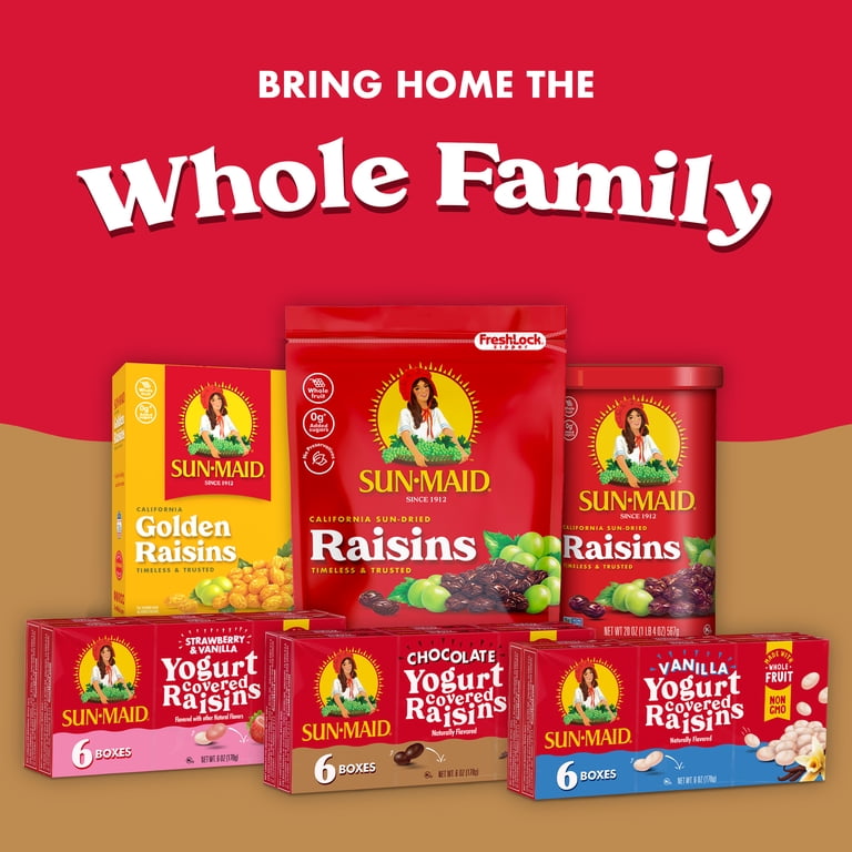 Sun-Maid Chocolate Yogurt Covered Raisins 6-Pack 1oz Cartons, Kids