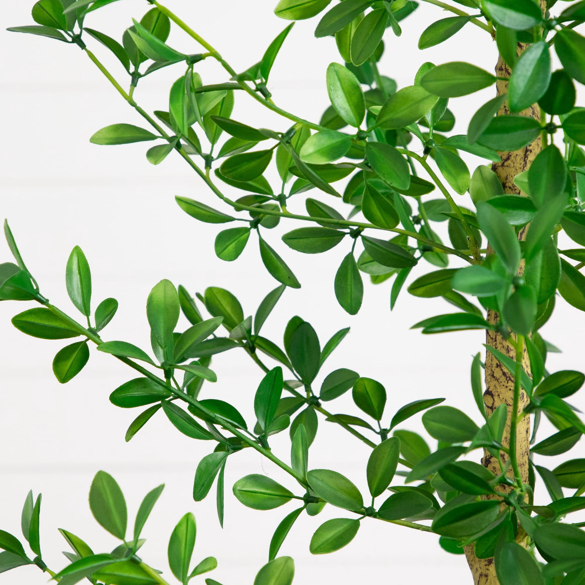 Nearly Natural 7ft. Artificial Shady Lady Black Olive Tree