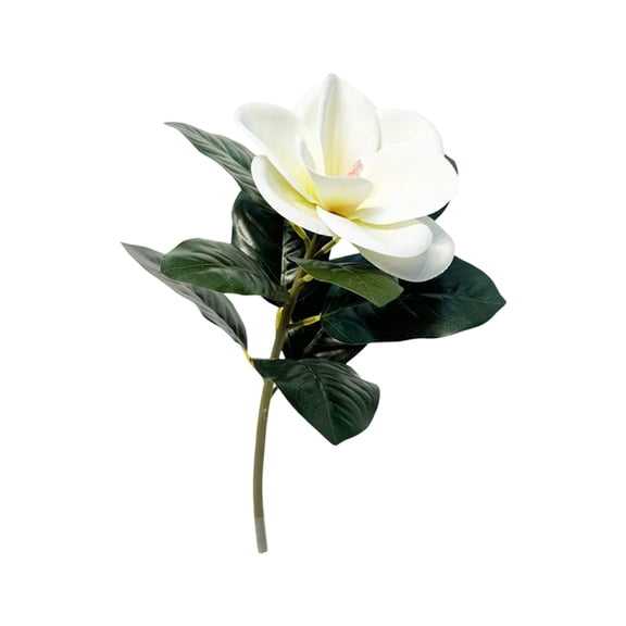 Nesthee 4.2in Artificial Magnolias white Flowers Real Touch Creamy White for Table Centerpiece Wedding Holidays Party Home Decor