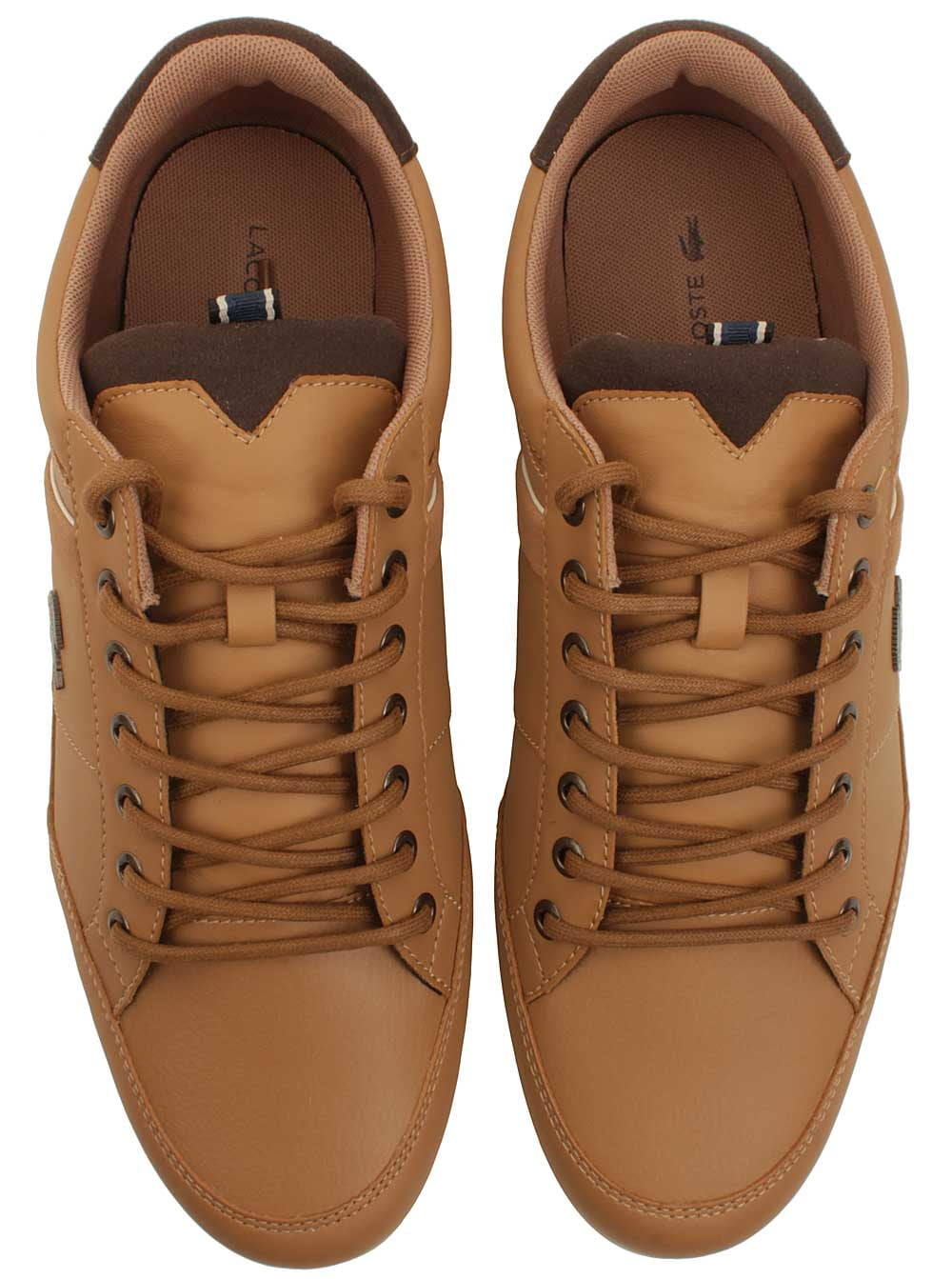 lacoste chaymon 118 2 cam