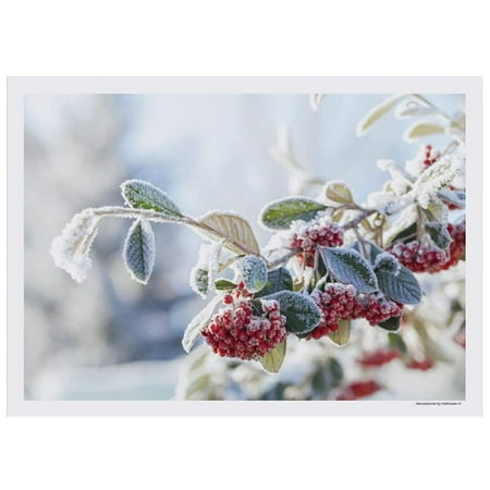 

Berry Frost Winter Paper Placemats - 10in. X 14in. - 25 Pack (702079)