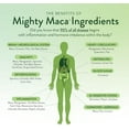 Mighty Maca Plus Delicious Organic Maca Root Superfoods Greens Keto