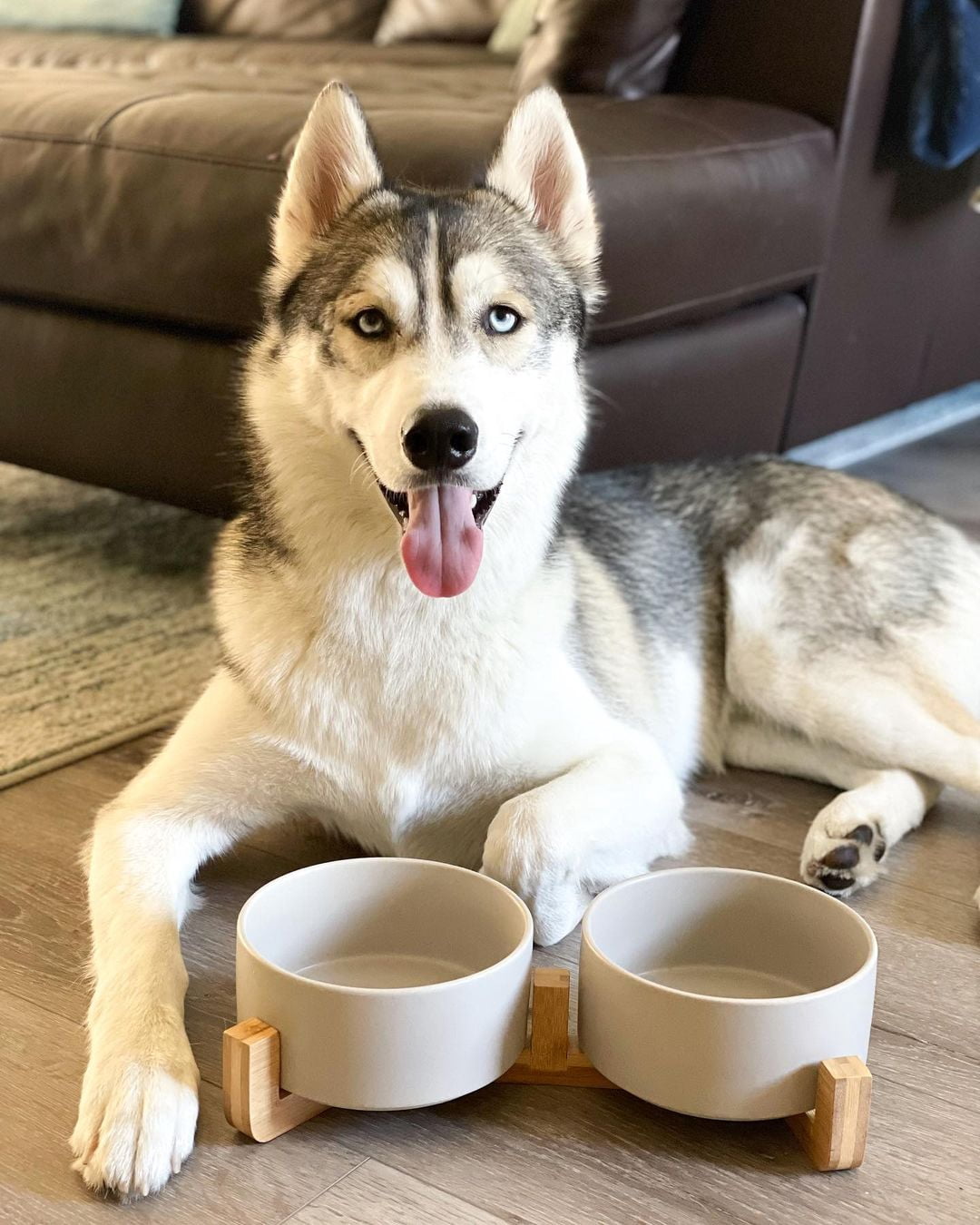 SPUNKYJUNKY Ceramic Dog and Cat Bowl Set with Wooden Stand Non-Slip Matte Glaze Weighted Food Water Set for Cat Medium Dog 28.7 OZ,Grey