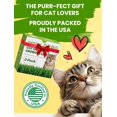 thumbnail image 7 of Cat Grass Kit for Indoor Cats, 3 Pack Fast Growing Cat Grass Kit with Eco-Friendly Biodegradable Pots, Soil & Wheatgrass Seeds, Grows in 3-7 Days with High Germination Rate, 7 of 7