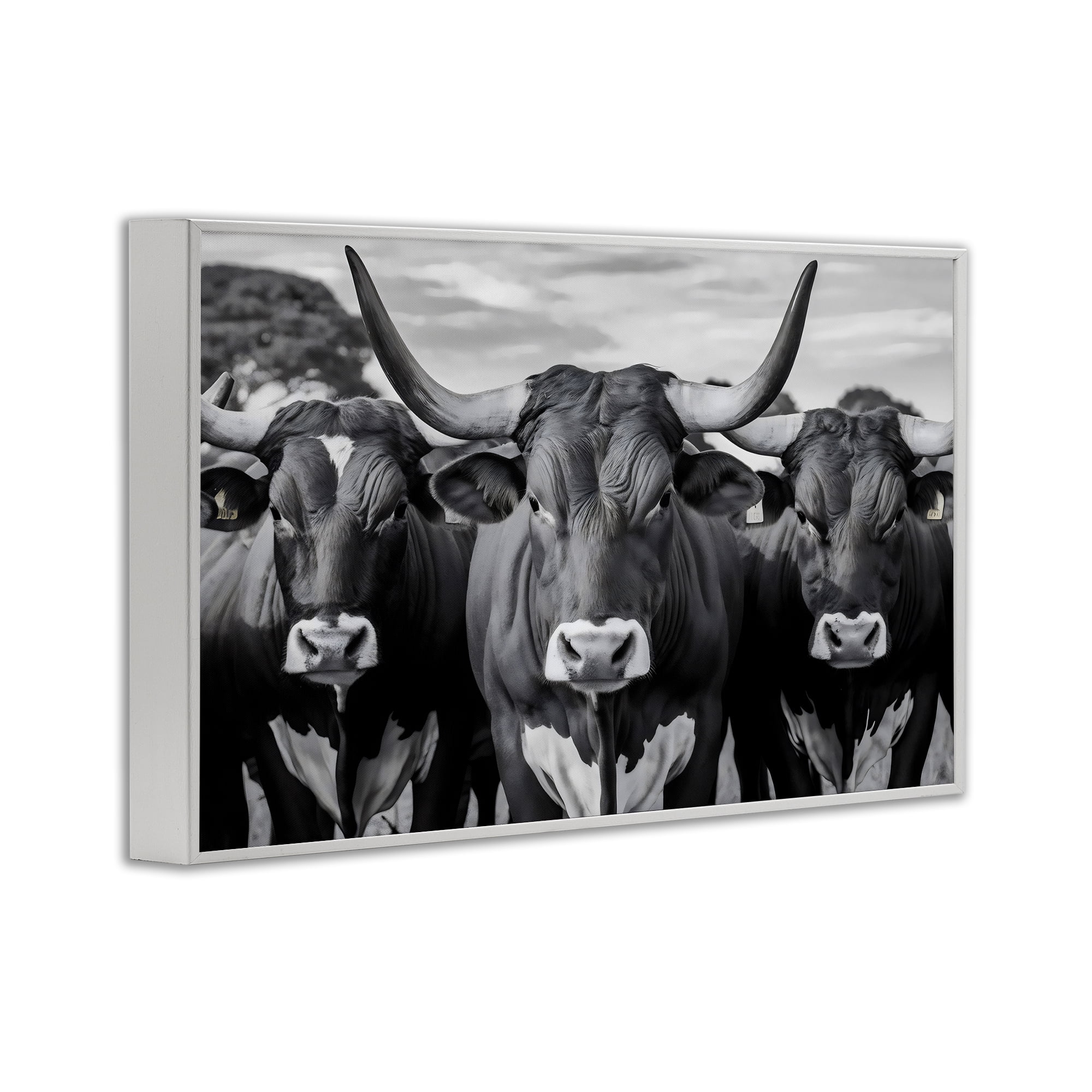 Stupell Industries Three Longhorns in a Row White Framed Giclee Art, design by Creative Studio
