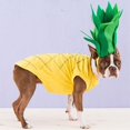 thumbnail image 2 of Disfraz de Navidad para perro, forma de piña fresca, traje para cachorro, sombrero para perros, gatos, decoración para fiestas festivas y festivas, 2 of 5