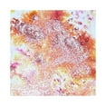 thumbnail image 2 of Nuvo Shimmer Powder-Fantail Firecracker, 2 of 2