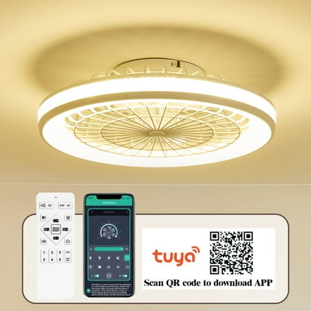 20"  Caged Ceiling Fans Lights,Low Profile Enclosed Lamp with APP Control,White