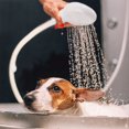 thumbnail image 2 of Tuyau de Douche Portable à Main, Tuyau de Douche avec Tête de Pulvérisation pour Bain Bébé, Animaux, Lavage des Cheveux, Rinçage des Légumes, Évier Utilitaire, 2 of 7