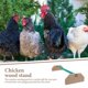 thumbnail image 3 of Wooden Chicken Perch Natural Wood Chicken Rooster Perch Chick Standing Stand Chicken Wood Perch, 3 of 4
