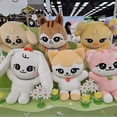 thumbnail image 2 of Kpop Ive Cherive muñecos de peluche Minive Ganganji Dal-e Rei Naori Cherry Liz Cheez Erang-e Kpop Ive figura de Anime Wonyoung Yujin Gaeul, 2 of 5