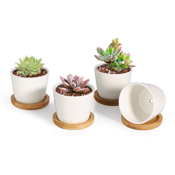 T4U 2.5 Inch Small White Succulent Planter Pots with Bamboo Tray Round Set of 4, Ceramic Succulent Air Plant Flower Pots Cactus Faux Plants Containers, White Modern Decor for Home and Office