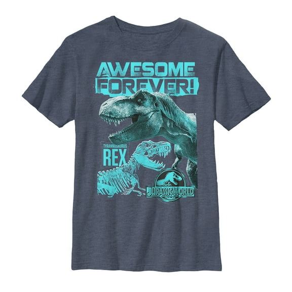 Boy's Jurassic World: Fallen Kingdom Forever T.Rex Graphic Tee Navy Blue Heather Small